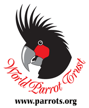 World Parrot Trust - Saving Parrots Worldwide