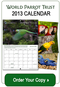 2013 WPT Parrot Calendar