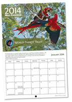 2014 Parrot Calendar