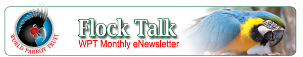 Flock Talk, World Parrot Trust eNewsletter