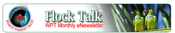 Flock Talk, World Parrot Trust eNewsletter