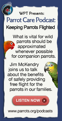 Parrot Podcasts