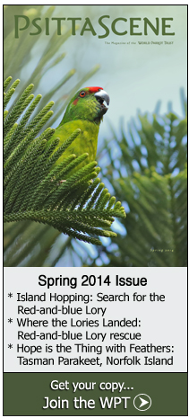 2014 PsittaScene - Spring Issue