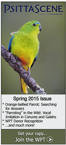 2015 PsittaScene - Spring Issue