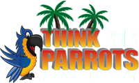 Think Parrots 2013