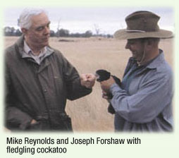 Mike Reynolds and Joseph Forshaw with fledgling cockatoo