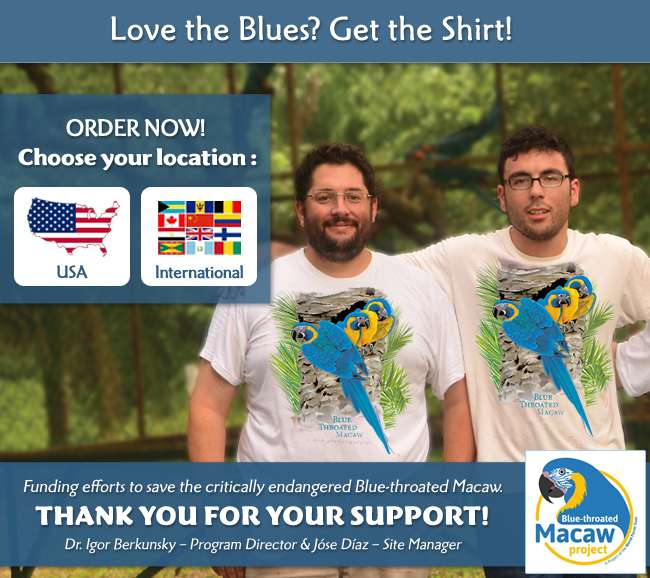 Order your Blue-throated Macaw Designer T-shirt