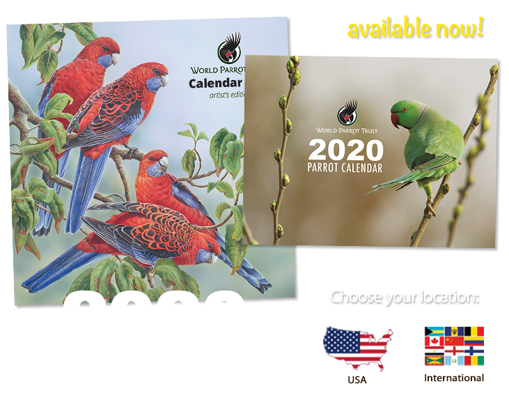 Order your 2020 Parrot Calendars