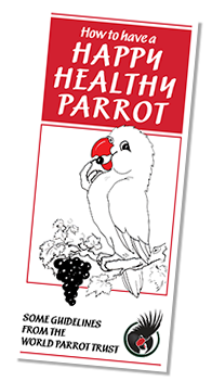 Happy Healthy Parrot Leaflet