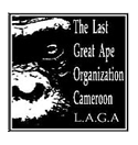 LAGA - Last Great Ape Organization Cameroon