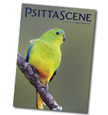 PsittaScene Magazine