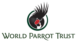 World Parrot Trust