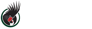 World Parrot Trust