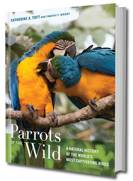 Parrots of the Wild